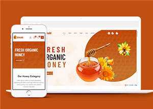农家蜂蜜网上销售HTML5模板下载 - 友友资源