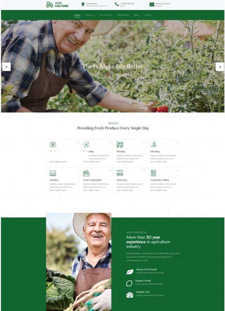 Bootstrap绿色有机果蔬农场html模板 - 友友资源