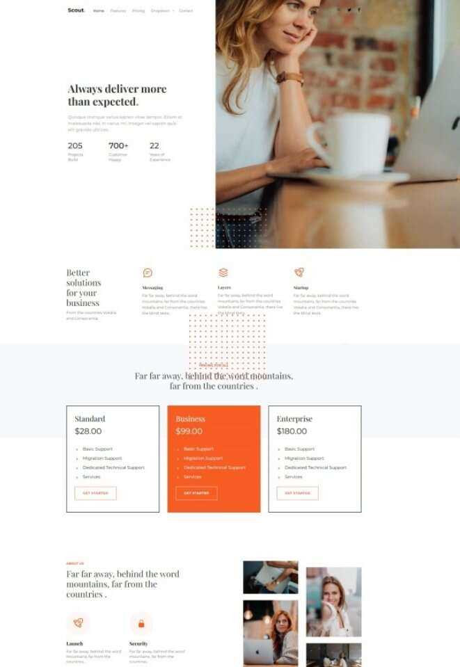 Bootstrap商务咨询服务公司网站HTML模板 - 友友资源