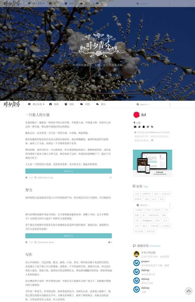 wordpress极简优秀的博客主题–ErlSimpleV1.5主题 - 友友资源
