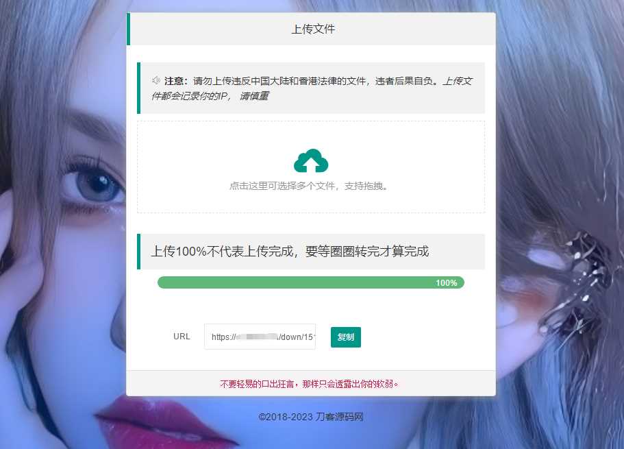 2023最新临时文件上传存储分享系统 临时文件网盘系统源码 - 友友资源