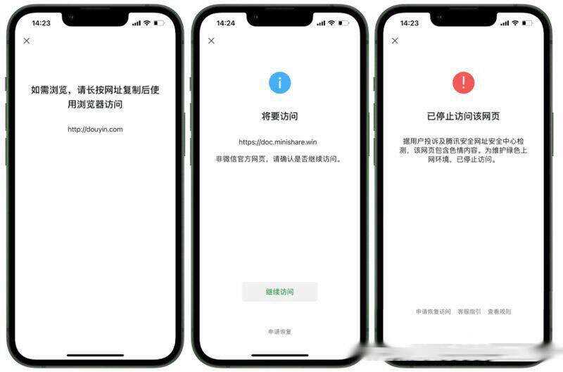2023最新检测域名是否能在微信正常打开API源码 - 友友资源