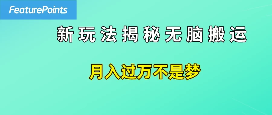 简单操作，每天50美元收入，搬运就是赚钱的秘诀！ - 友友资源