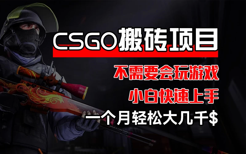 CSGO 装备搬砖项目，操作简单，不需要会玩游戏，小白也能快速上手，一个月轻松大几千 - 友友资源