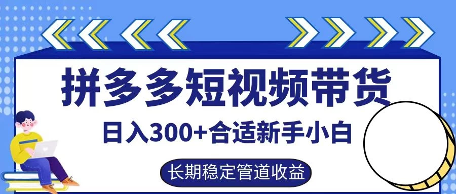 拼多多短视频带货日入300+保姆级实操账户展示 - 友友资源