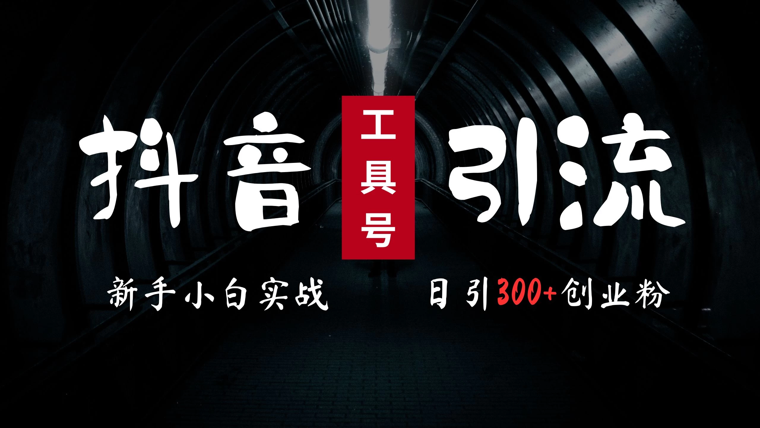 2024最新抖音工具号引流玩法，高效日引300+创业粉，当天变现5000+，小白也可成为实战高手 - 友友资源
