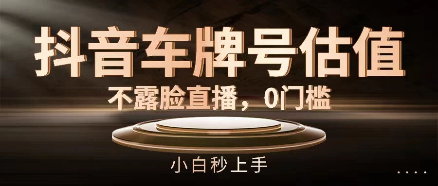 抖音车牌号估值，不露脸直播，0门槛，小白秒上手 - 友友资源