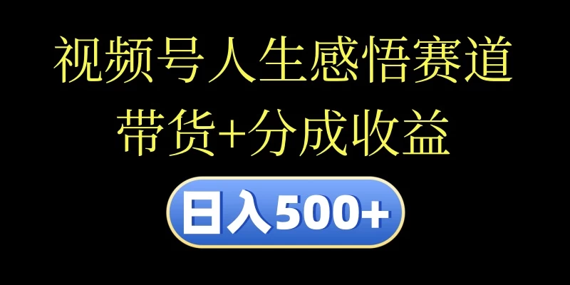 视频号人生感悟赛道，带货+分成收益，日入500+，10分钟做一个视频 - 友友资源