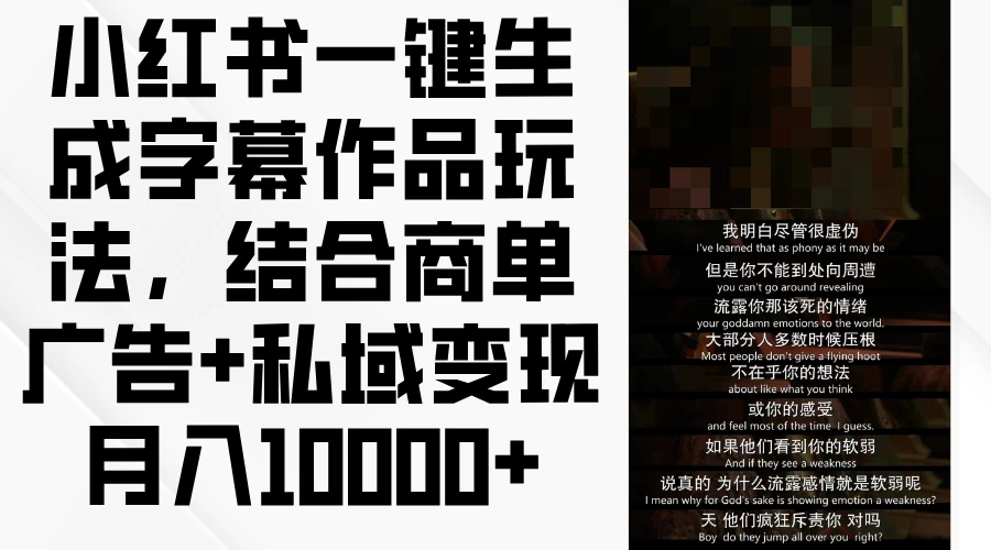 小红书一键生成字幕作品玩法，结合商单广告+私域变现月入10000+ - 友友资源