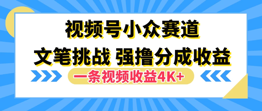 视频号小众赛道，文笔挑战，一条视频收益4K+ - 友友资源