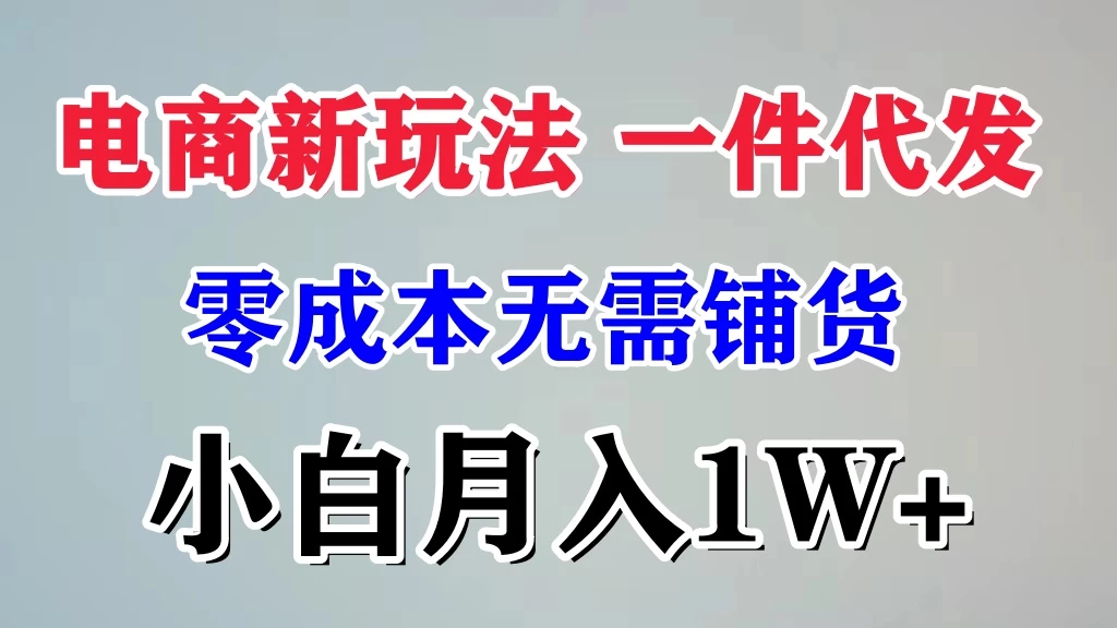 电商新玩法，一件代发，零成本无需铺货，小白月入1W+ - 友友资源