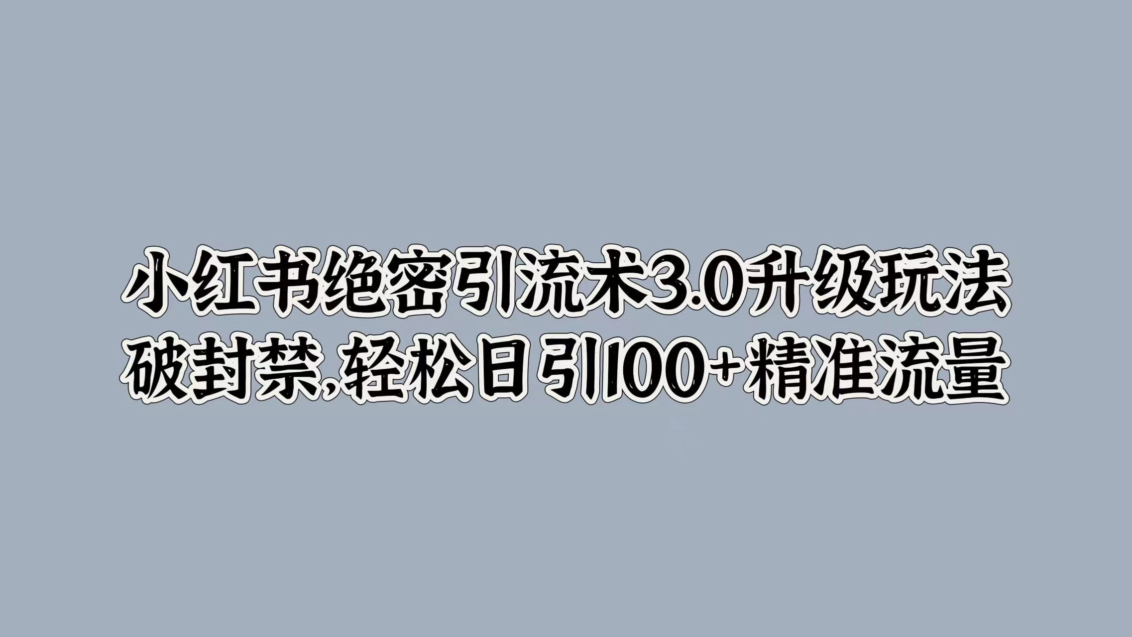 小红书绝密引流术3.0升级玩法，破封禁，轻松日引100+精准流量 - 友友资源