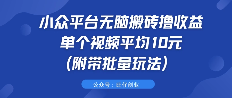小众平台无脑搬砖撸收益，单个视频平均10元 (附带批量玩法） - 友友资源