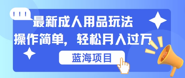 最新成人用品项目玩法，操作简单，蓝海项目轻松月入过万 - 友友资源