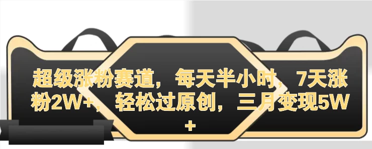 超级涨粉赛道，每天半小时，7天涨粉2W+，轻松过原创，三月变现5W+ - 友友资源