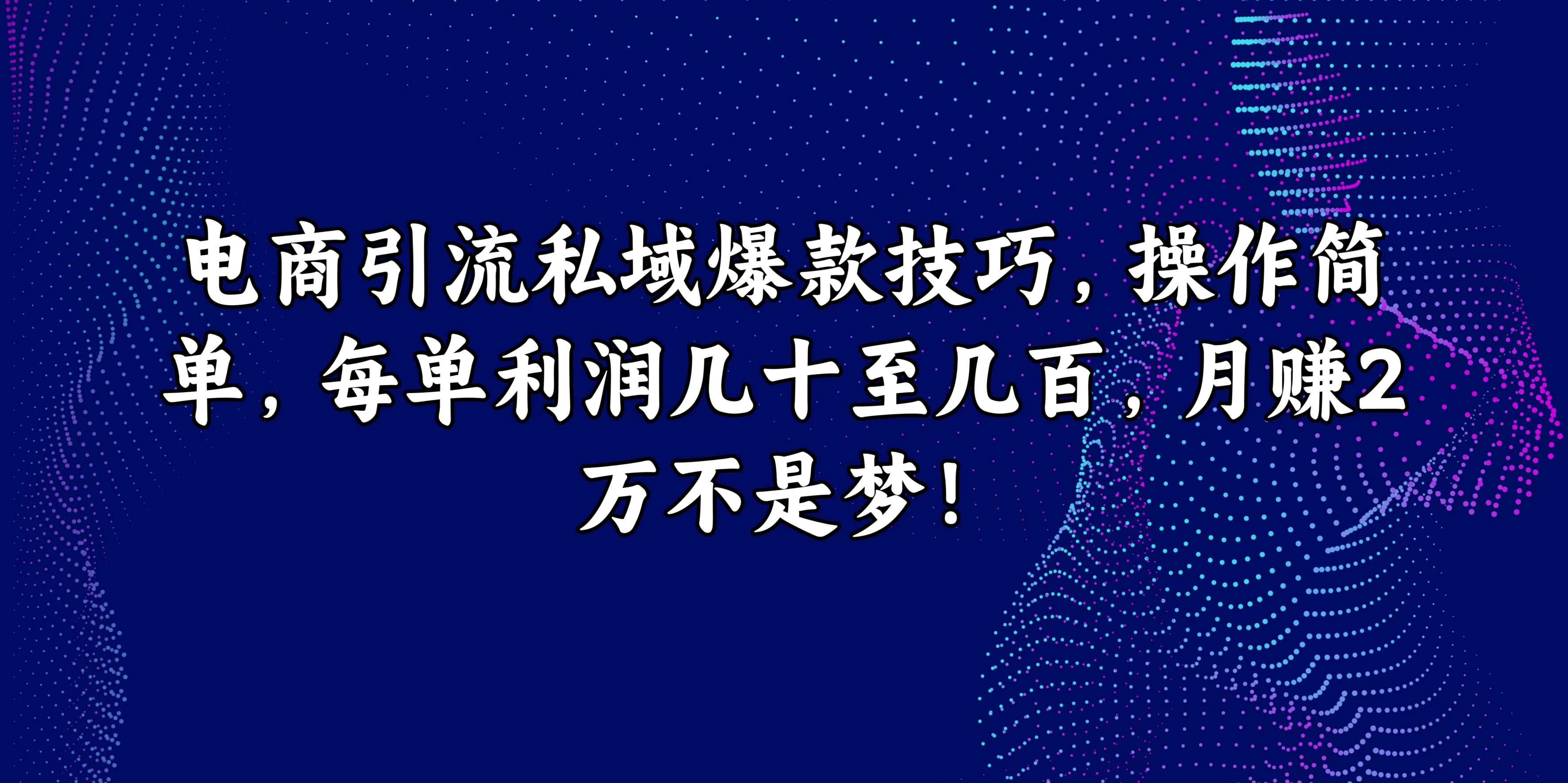 电商引流私域爆款技巧，操作简单，每单利润几十至几百，月赚2万不是梦！ - 友友资源