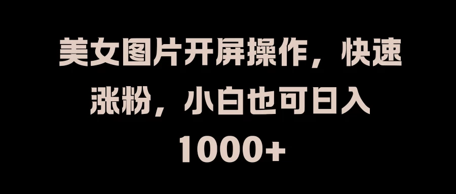 美女图片开屏操作，快速涨粉，小白也可日入1000+ - 友友资源