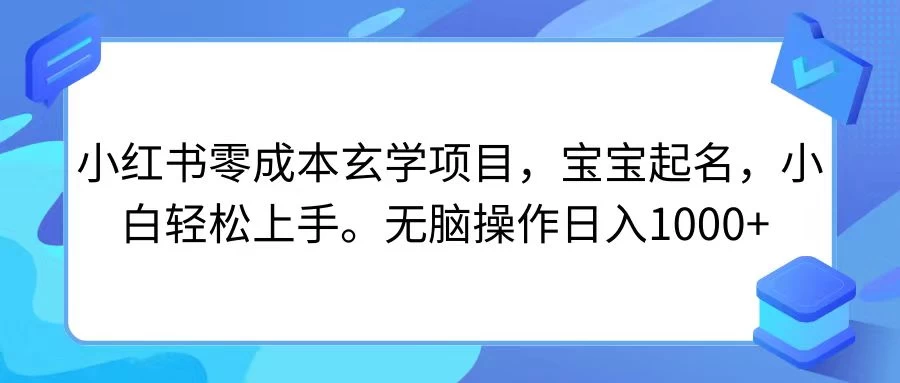 小红书零成本玄学项目，宝宝起名，小白轻松上手，无脑操作日入1000+ - 友友资源
