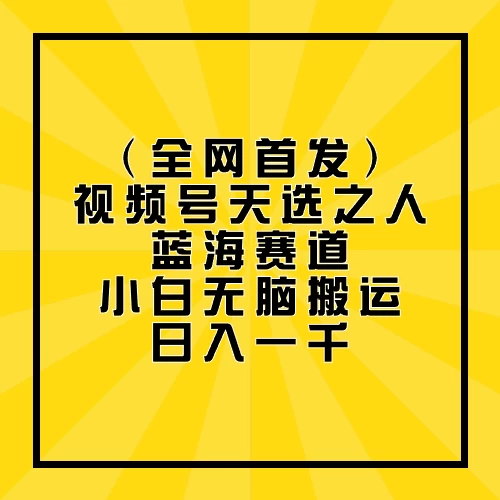 全网首发，视频号天选之人蓝海赛道，小白无脑搬运日入一千 - 友友资源