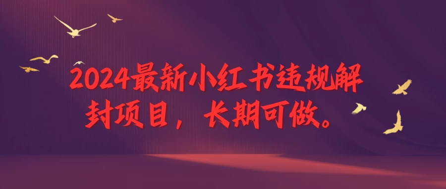 2024最新小红书违规解封项目，一个可以做到退休的项目 - 友友资源