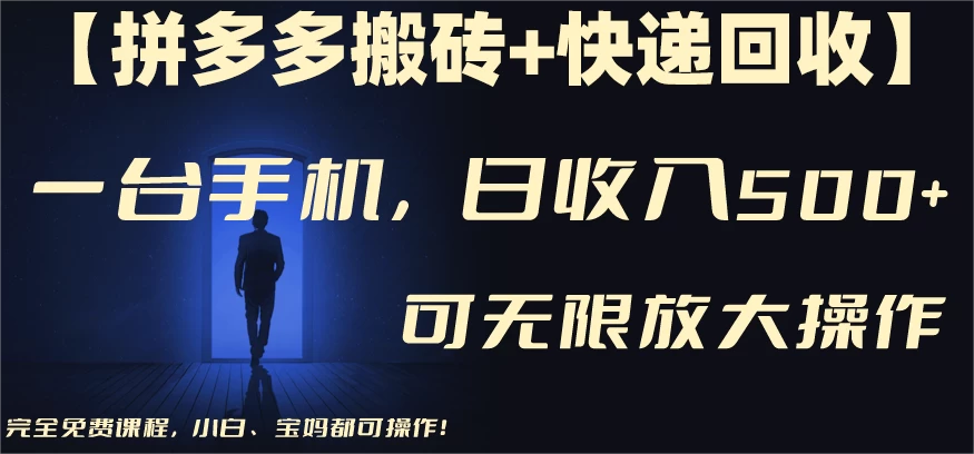 拼多多搬砖＋快递回收，日入600+，可多号矩阵收益无上限 - 友友资源