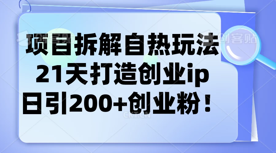 项目拆解自热玩法，21天打造创业IP，日引200+创业粉 - 友友资源