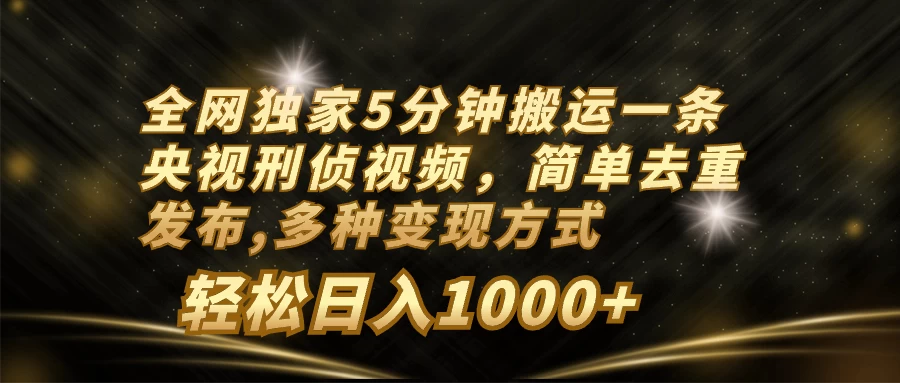 全网独家5分钟搬运一条央视刑侦视频，简单去重发布，多种变现方式，轻松日入1000+ - 友友资源