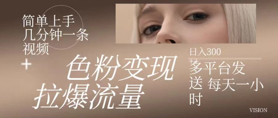 色粉变现，拉爆流量，简单上手几分钟一条视频，多平台发送每天一小时，日入300+ - 友友资源