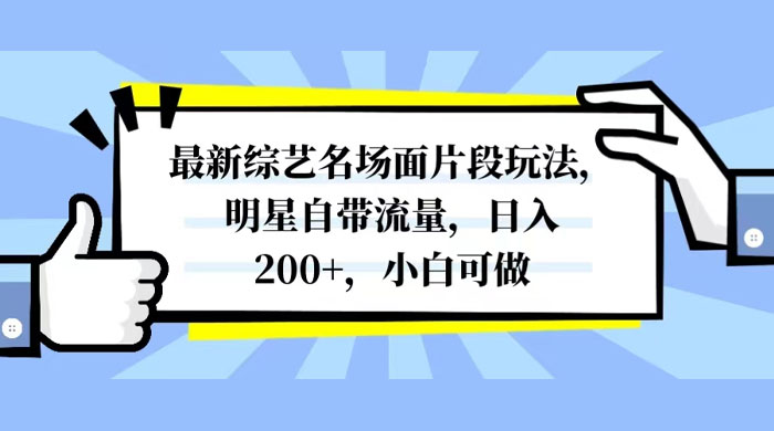 最新综艺名场面片段玩法，明星自带流量，日入200+，小白可做 - 友友资源
