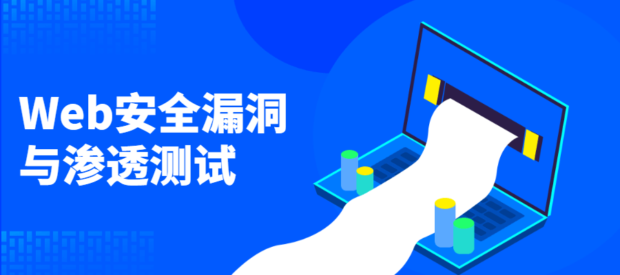Web安全漏洞与渗透测试 - 友友资源