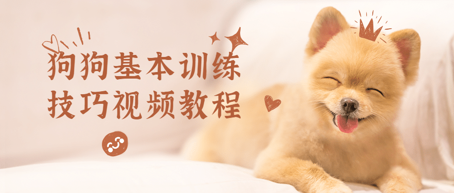 狗狗基本训练技巧视频教程 - 友友资源