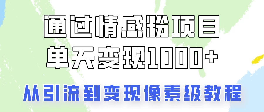 我是怎么通过情感粉项目单天变现1000+的，从引流到变现像素级教程 - 友友资源