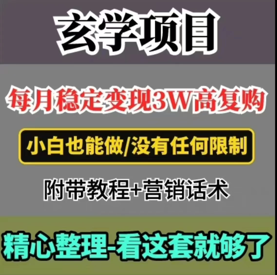 每月稳定变现3W+，高复购玄学项目，小白也能做 - 友友资源
