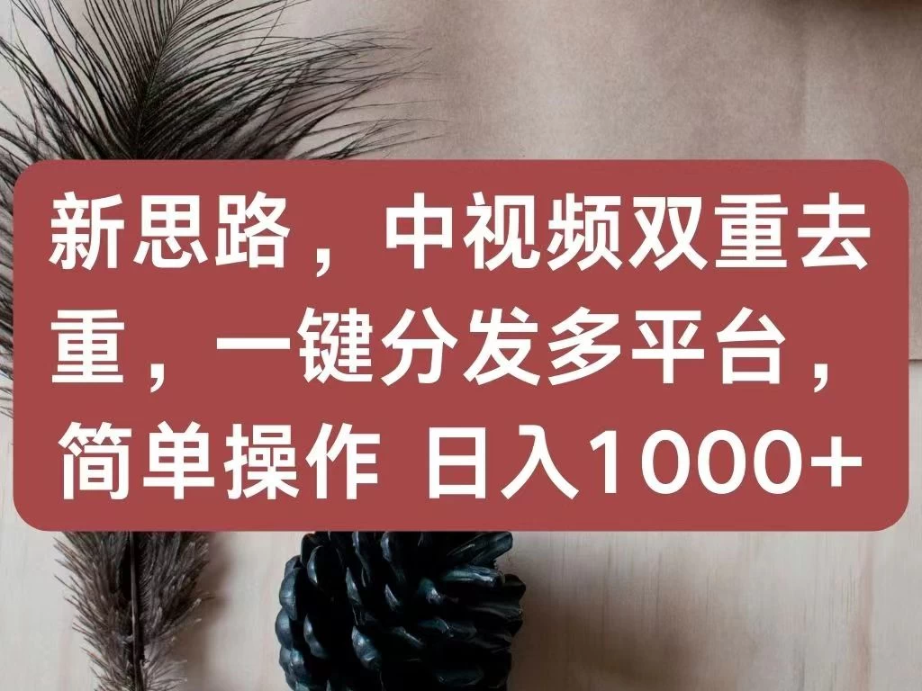新思路，中视频双重去重，一键分发多平台，简单操作，日入1000+！快来试试吧！ - 友友资源