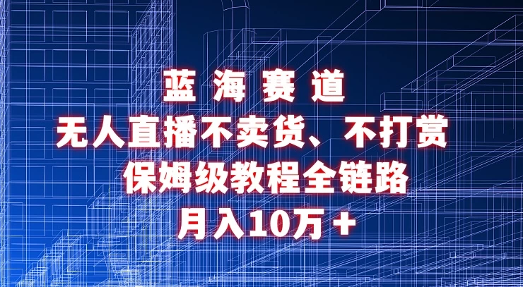无人直播不卖货、不打赏保姆级教程全链路 月入10万＋ - 友友资源