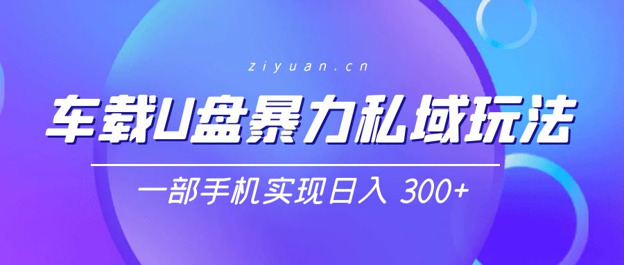 车载 U 盘暴力私域玩法：一部手机实现日入 300+ - 友友资源