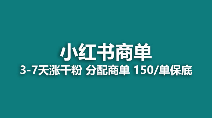 2023最强蓝海项目，小红书商单项目，没有之一 - 友友资源