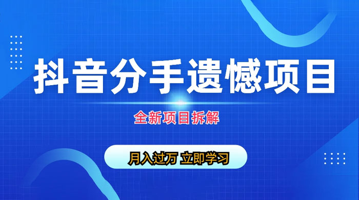 自媒体抖音分手遗憾项目私域项目拆解 - 友友资源
