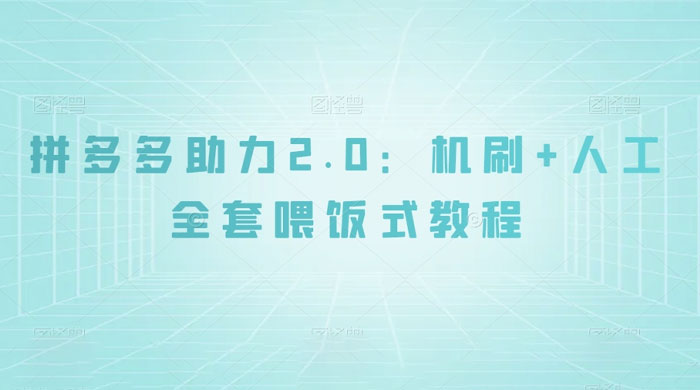 拼夕夕助力 2.0 新玩法：机刷+人工全套交付，喂饭式教程 - 友友资源