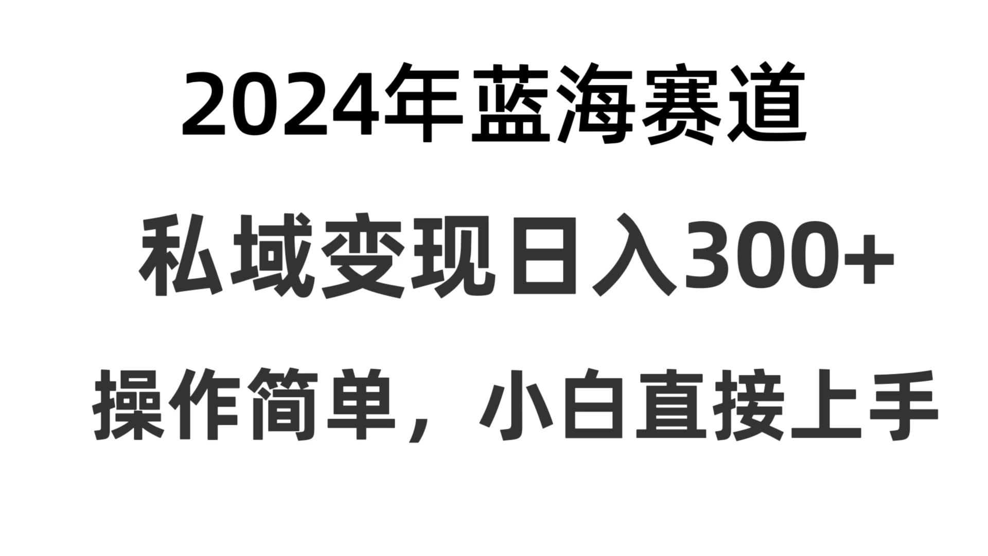 2024抖音蓝海赛道，私域变现日入300+，操作简单，每年只需一小时，纯小白可直接上手 - 友友资源