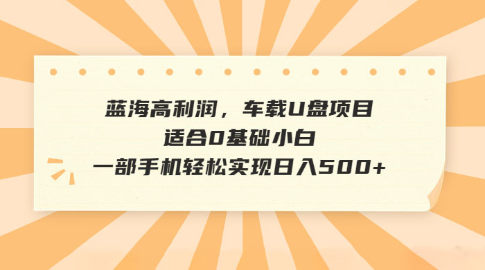 蓝海高利润，车载 U 盘项目，适合 0 基础小白 - 友友资源
