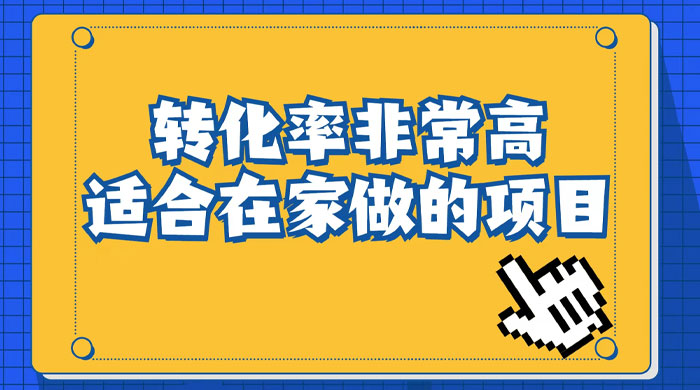 小红书虚拟电商项目：从小白到精英（视频课程+交付手册） - 友友资源