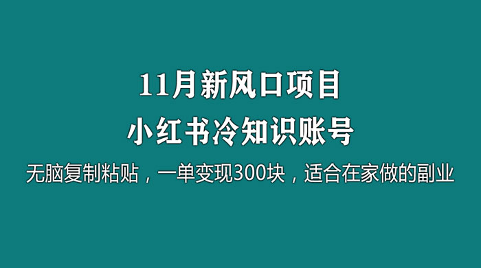 11 月新风口项目，小红书冷知识账号，无脑复制粘贴，一单变现 300 块，适合在家做的副业 - 友友资源