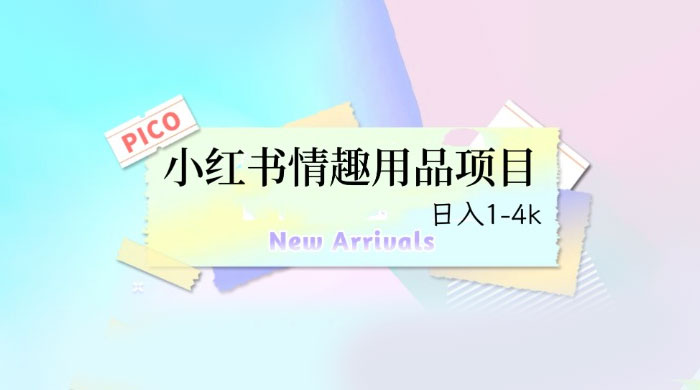 小红书情趣用品项目：详细教程，高转化收益快 - 友友资源