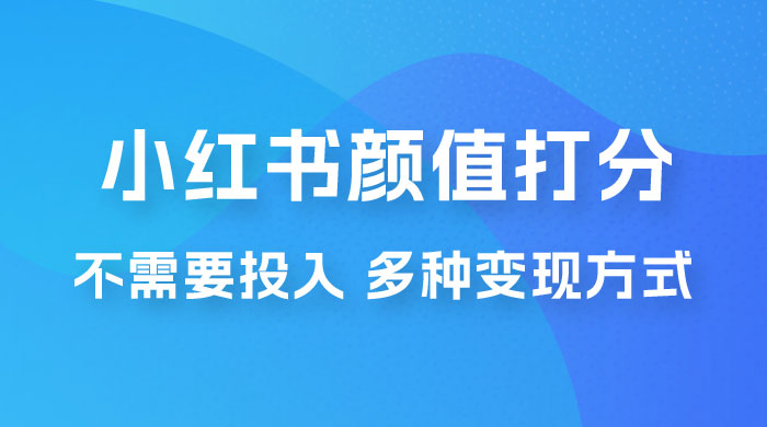 小红书颜值打分新玩法，不需要投入，适合所有人的一份副业，多种变现方式！ - 友友资源