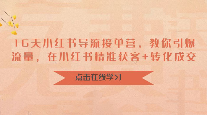 16 天小红书导流接单营：教你引爆流量，在小红书精准获客+转化成交 - 友友资源