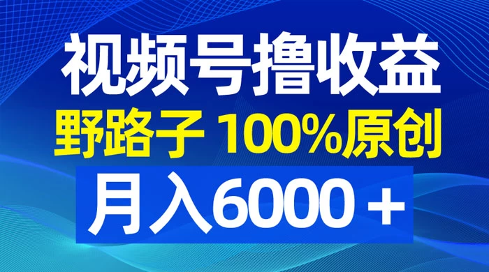 视频号野路子撸收益，100% 原创，条条爆款，月入 6000+ - 友友资源