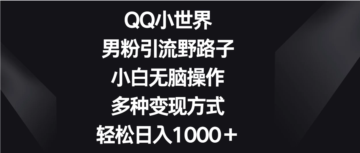 QQ小世界男粉引流野路子，小白无脑操作，多种变现方式轻松日入1000＋ - 友友资源