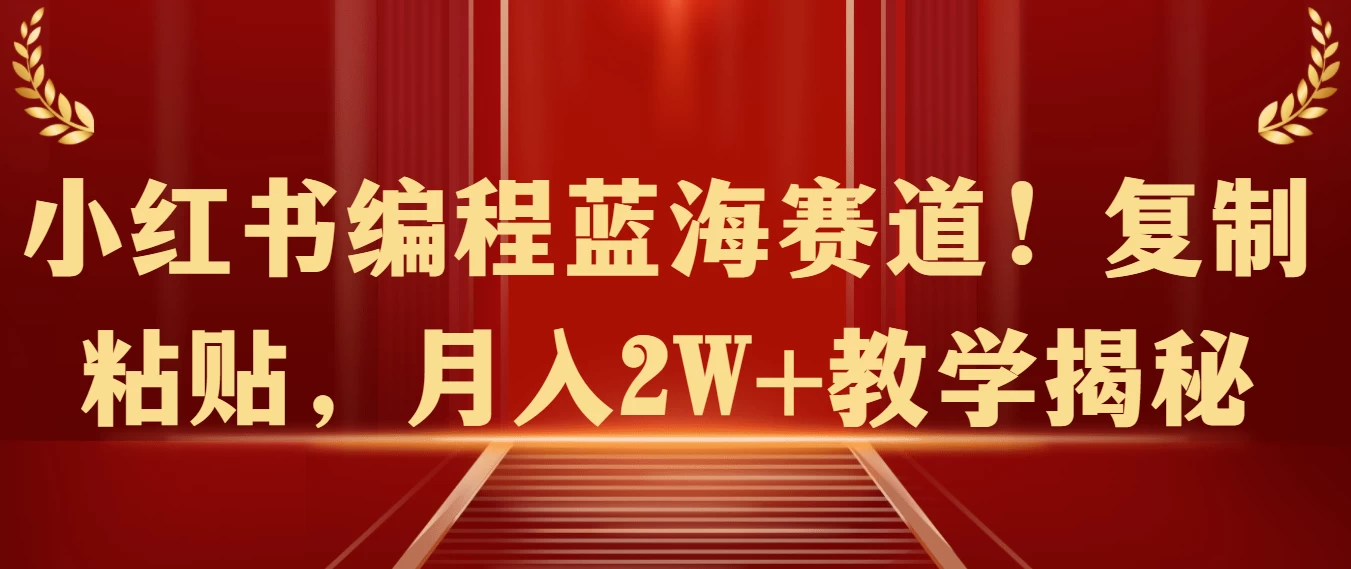 小红书编程蓝海赛道！复制粘贴，月入2W+教学揭秘 - 友友资源