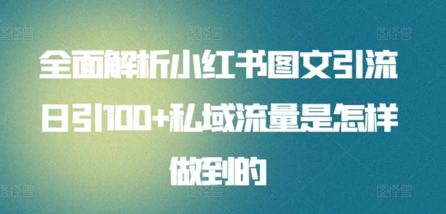 全面解析小红书图文引流日引100私域流量是怎样做到的 - 友友资源